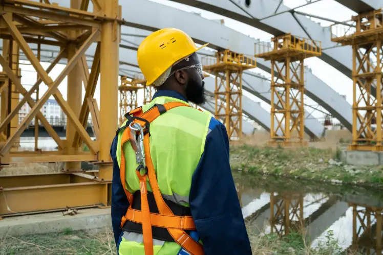 safety harness image