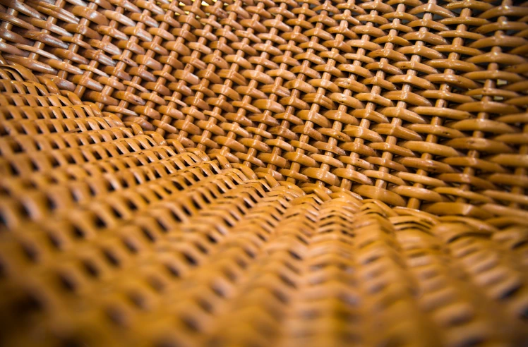 natural wicker photo